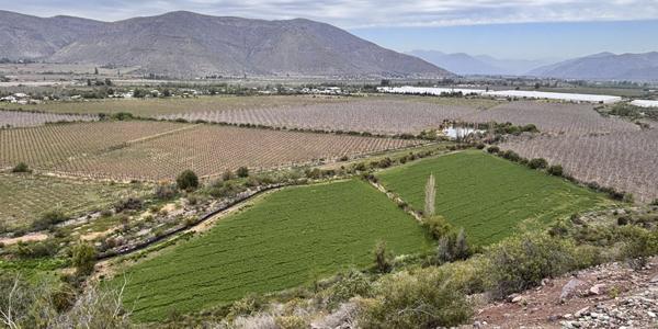 Parcelación El Tártaro Lo Vicuña Lote A-1, Parcela 101 - Imagen 10