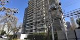 Tegualda 1829, bd. 78 - Imagen 8