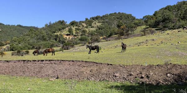 Hacienda Panama, Parcela 30 - 65 - Imagen 46