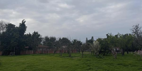 Las Camelias, Parcela 14 - Imagen 15