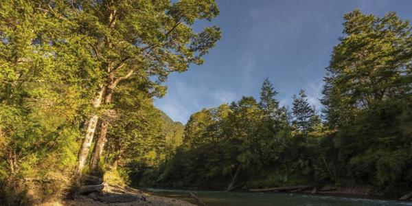 Rio Condor, Lote A-57 - Imagen 11