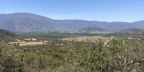 Santa Eugenia, Parcela A-149 - Imagen 9