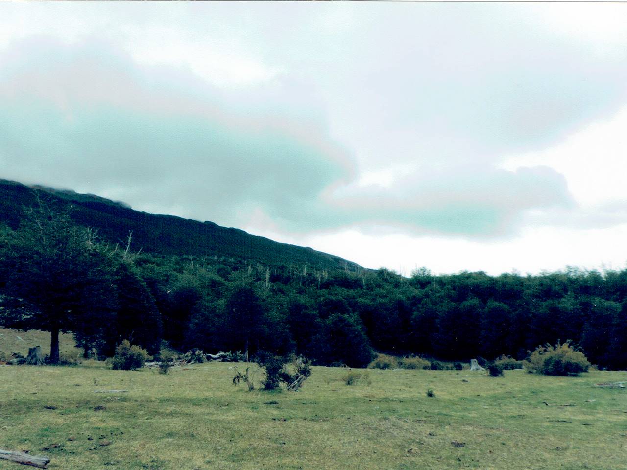 Mallín Grande, Parcela 71 - Imagen 6