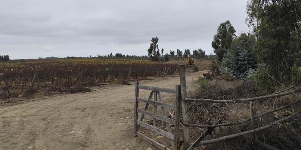 Fundo Santa Rosa, Lote 85-Y - Imagen 58