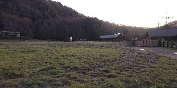 Camino Pucón - Huife Alto, Lote 3-A3 - Imagen 42