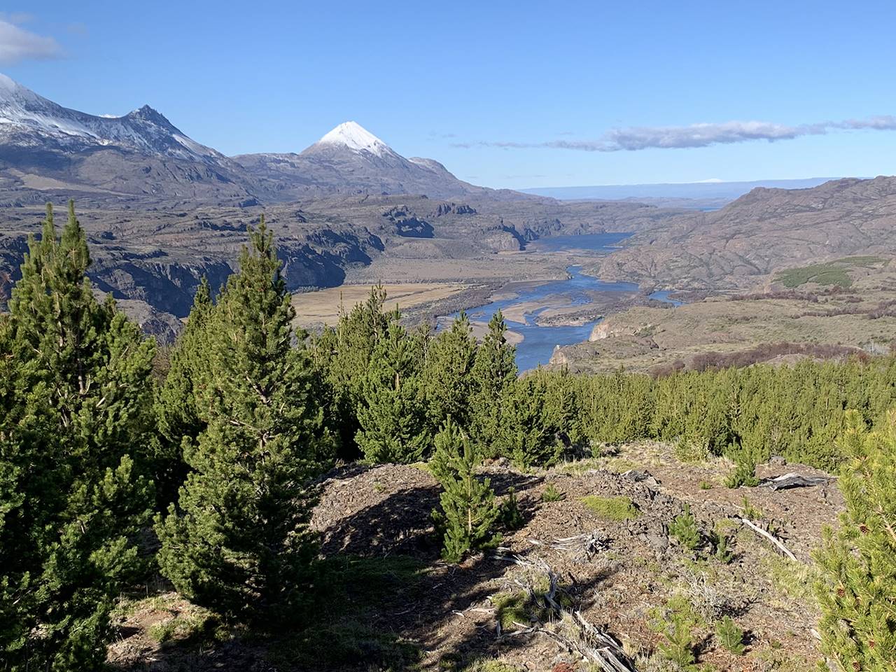 Cerro Castillo, Parcela 113 - Imagen 6