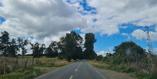 Conico Lote 27-C - Imagen 9