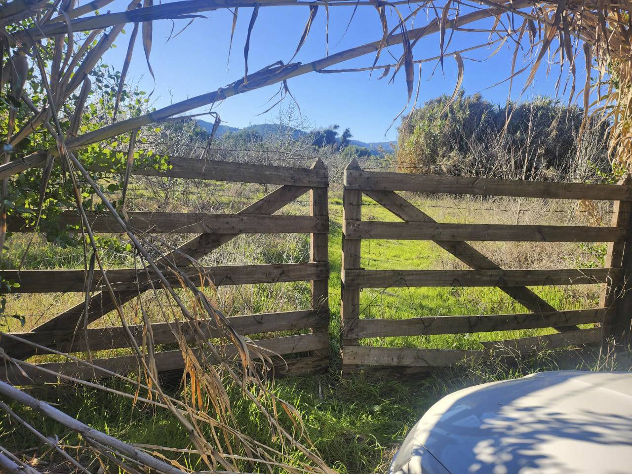 San Ramon de Puro, Lote C - Imagen 2