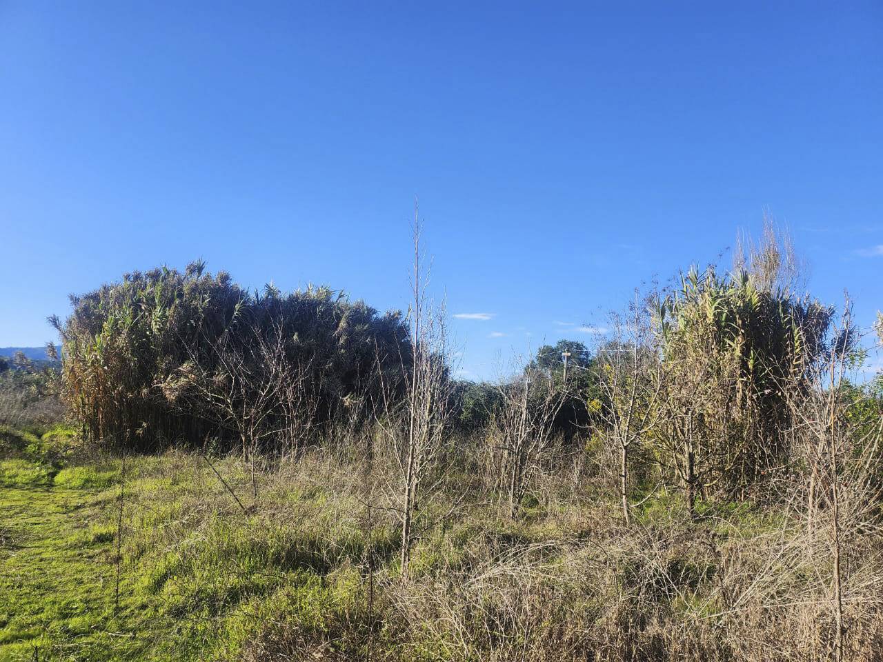 San Ramon de Puro, Lote C - Imagen 4