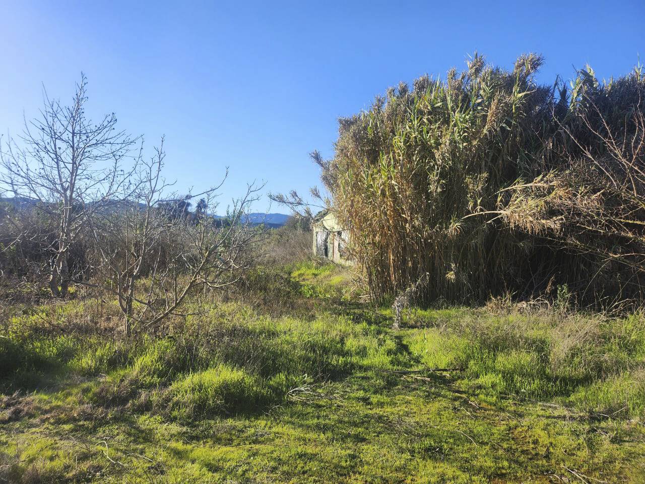 San Ramon de Puro, Lote C - Imagen 14