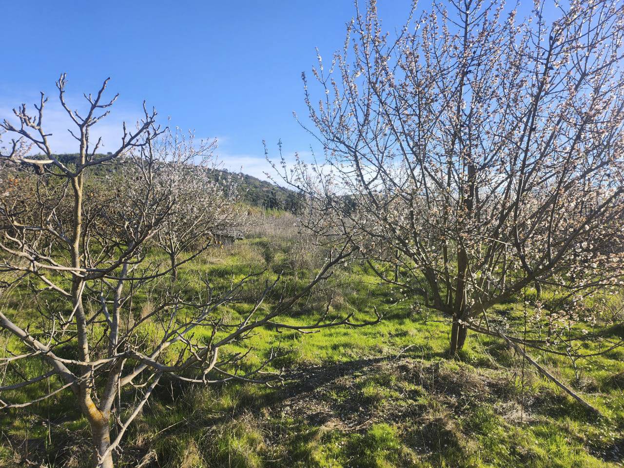 San Ramon de Puro, Lote C - Imagen 17