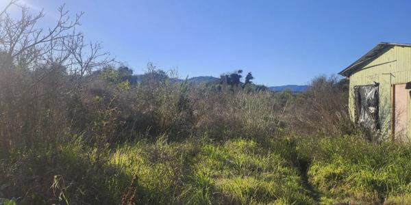San Ramon de Puro, Lote C - Imagen 30