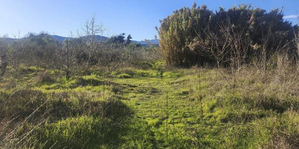 San Ramon de Puro, Lote C - Imagen 31