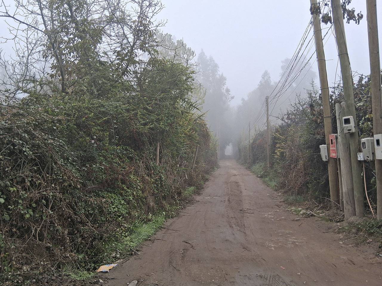 Camino El Triunfador Parcela 13, Lote 1 - Imagen 3