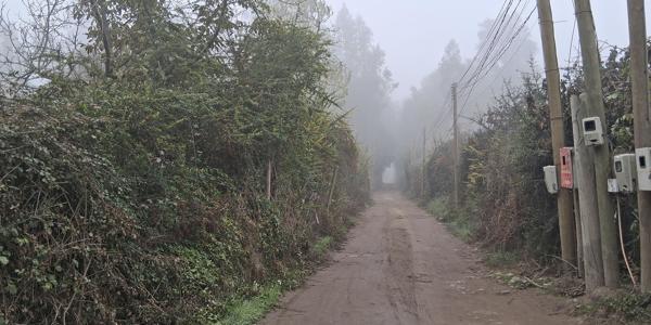 Camino El Triunfador Parcela 13, Lote 1 - Imagen 31