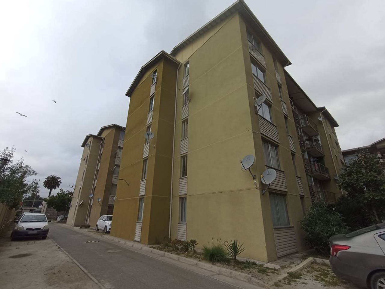 Merced 175, Depto. 23, Edif. 2 - Imagen 13