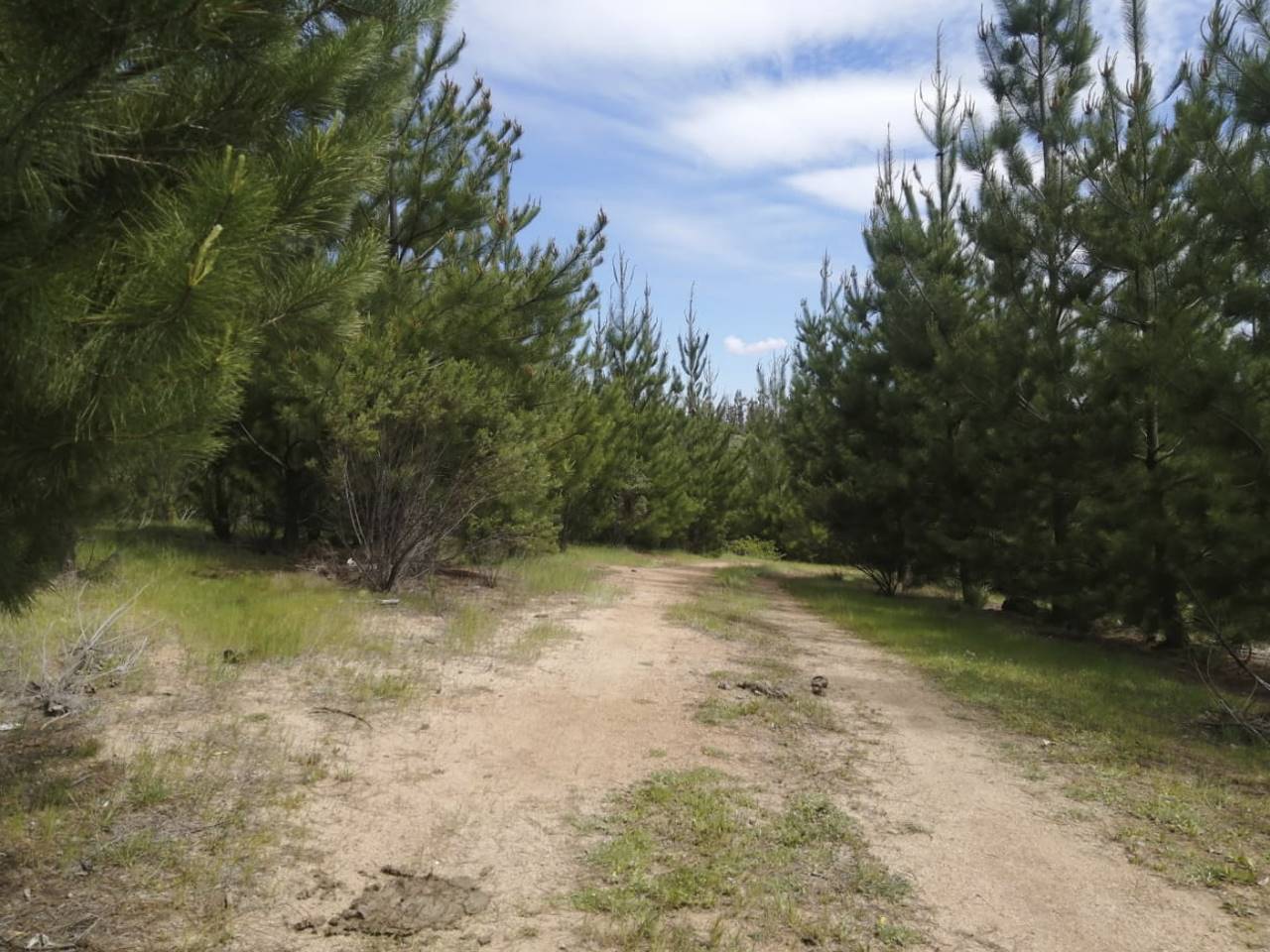 El Perdigadero, Parcela 18 - Imagen 1