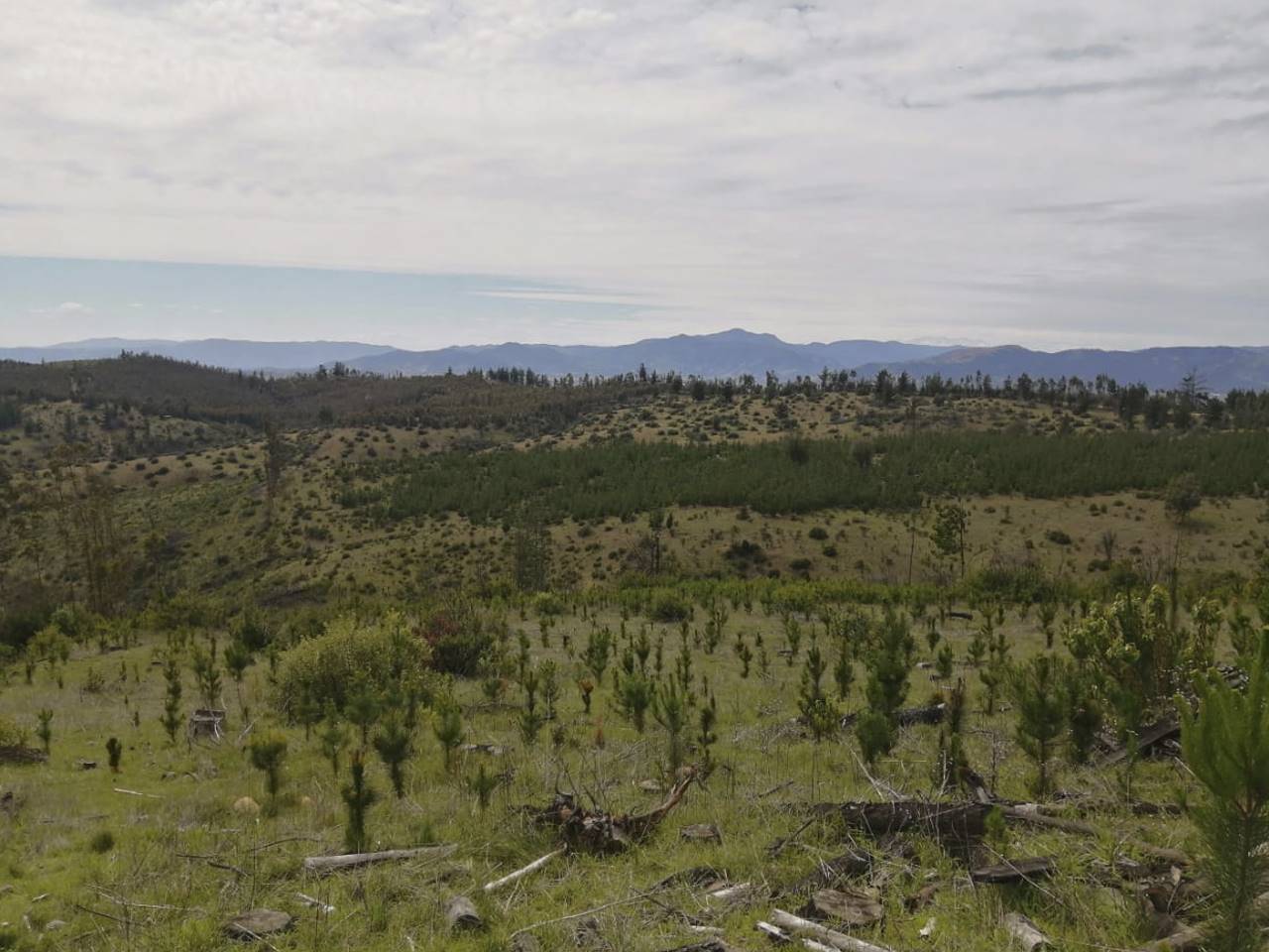El Perdigadero, Parcela 18 - Imagen 8