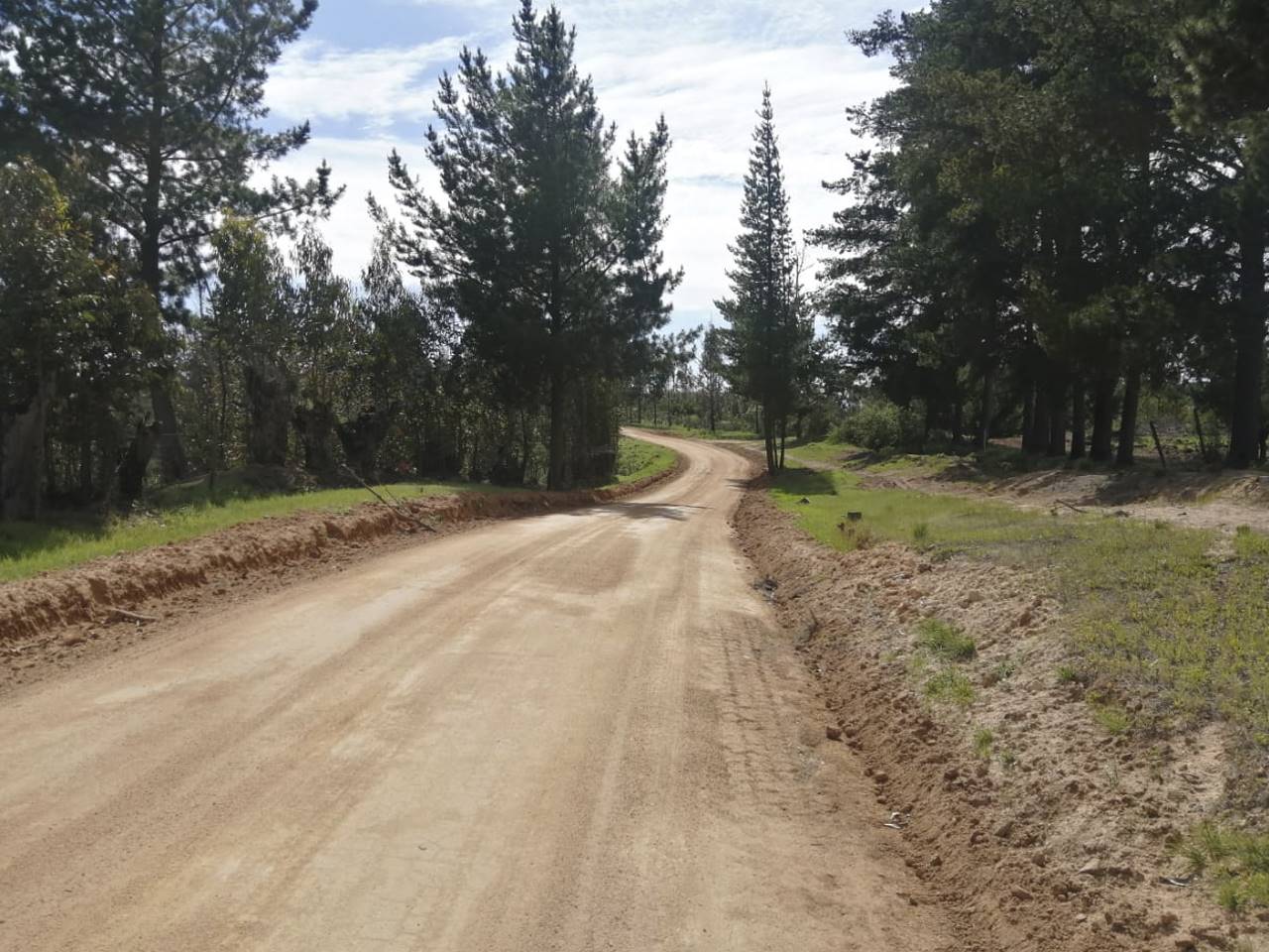 El Perdigadero, Parcela 18 - Imagen 16