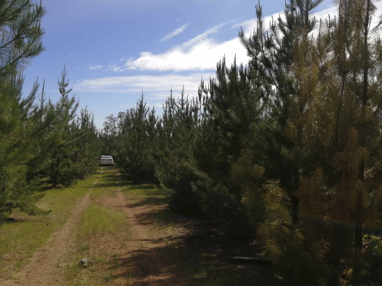 El Perdigadero, Parcela 18 - Imagen 23