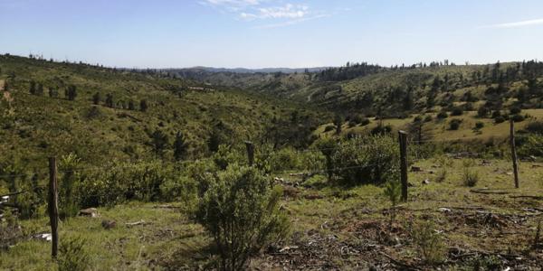El Perdigadero, Parcela 18 - Imagen 27