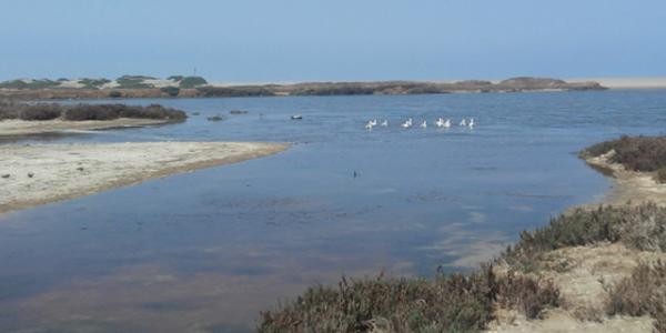 Fundo California, Parcela 38 - Imagen 10