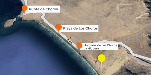 Fundo California, Parcela 38 - Imagen 11
