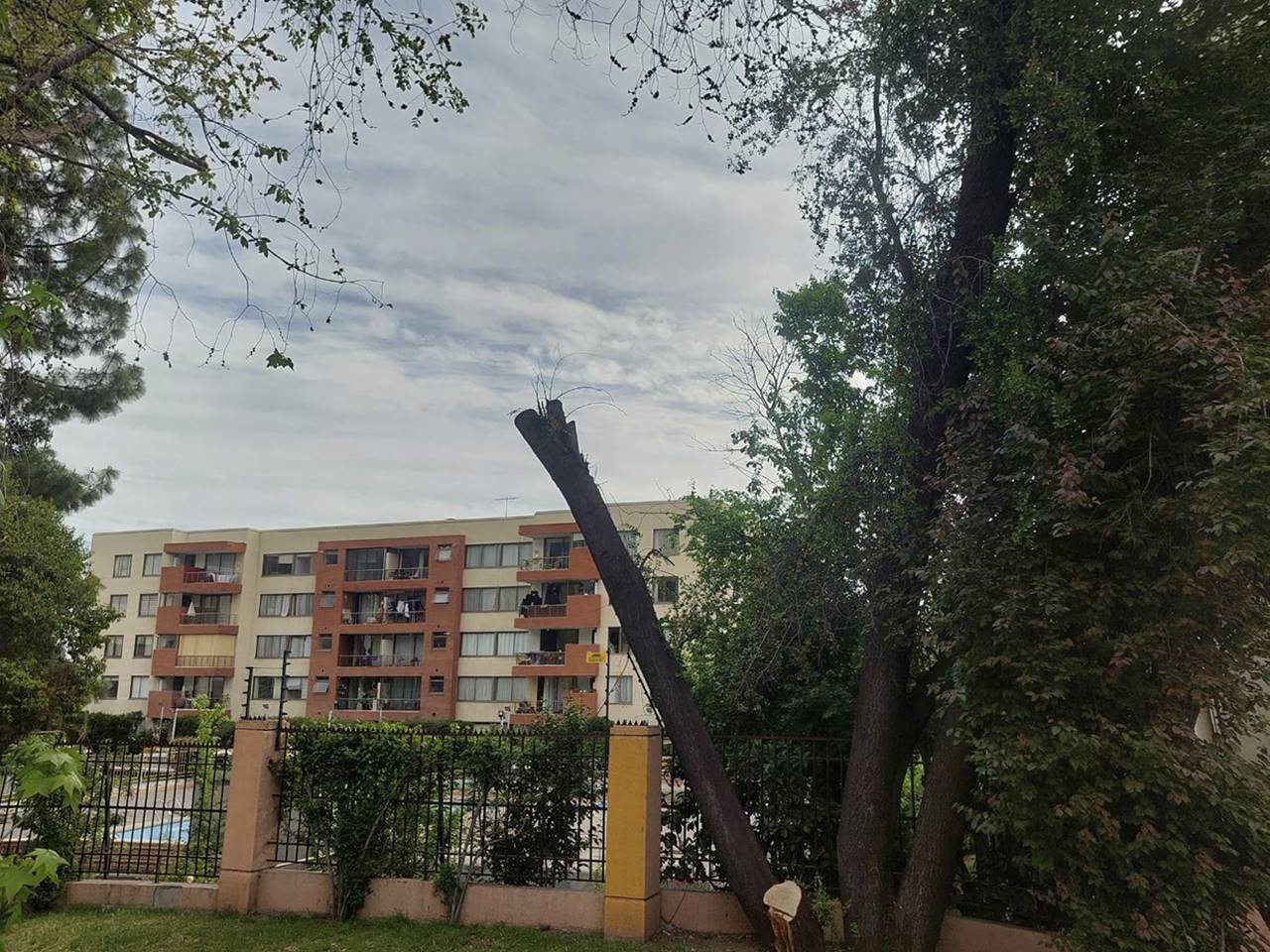 Av. Tobalaba 7377, Depto. 57, Edif. A - Imagen 6