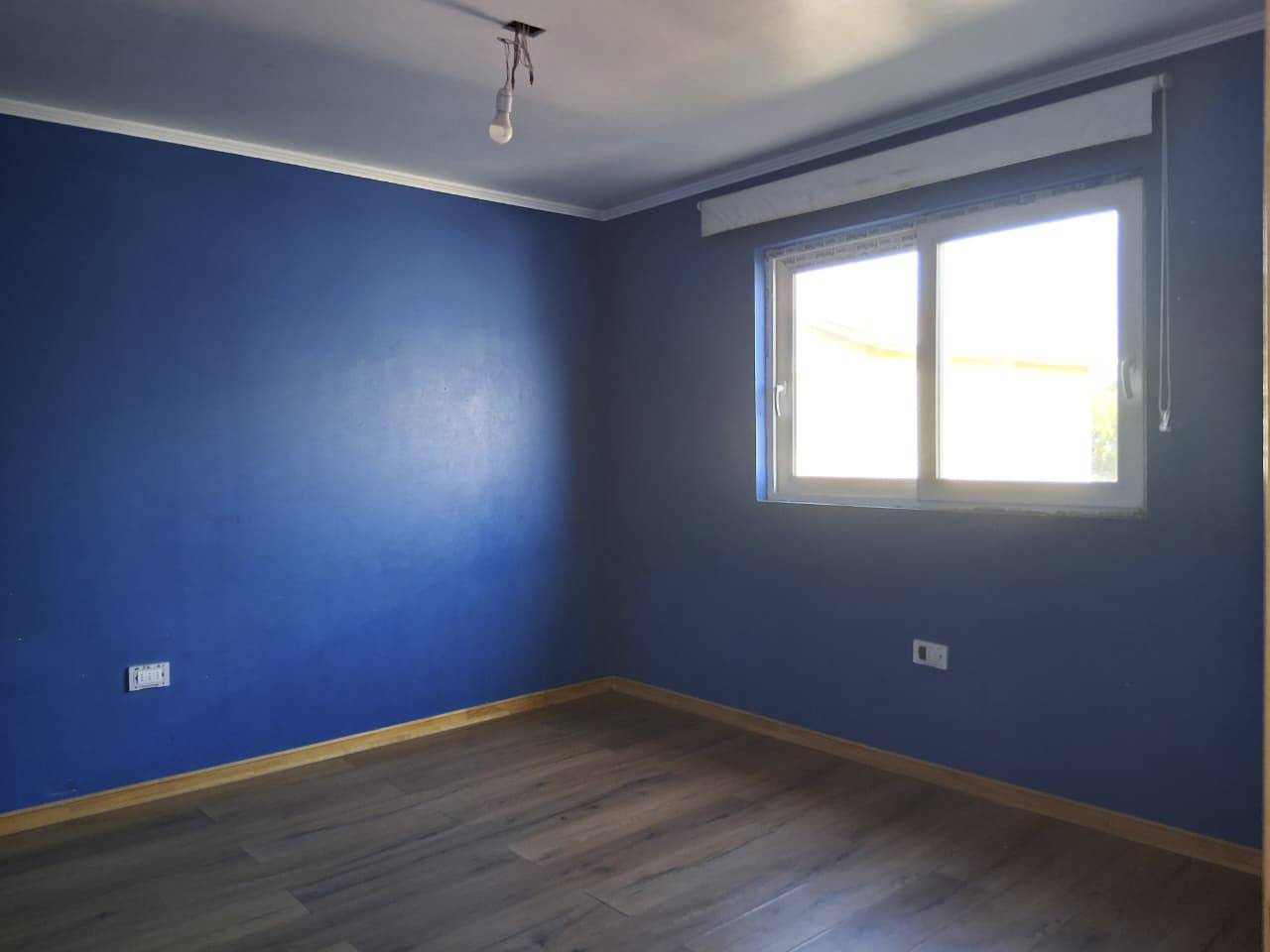 Lago Lleu Lleu 4453 - Imagen 14