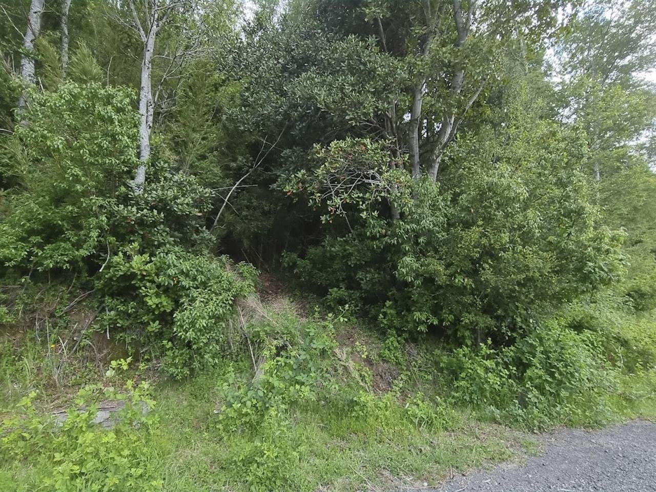 Lote Altos del Huife Uno, Lote 111 - Imagen 3