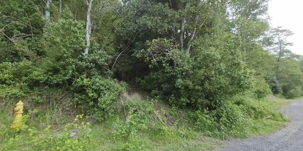 Lote Altos del Huife Uno, Lote 111 - Imagen 8