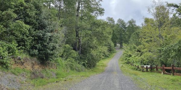 Lote Altos del Huife Uno, Lote 111 - Imagen 10