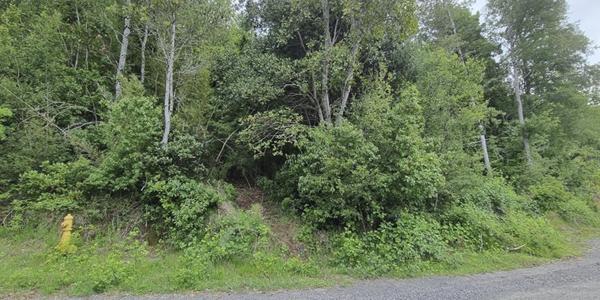Lote Altos del Huife Uno, Lote 111 - Imagen 11