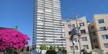 Ocho 2175, Depto. 103 - Imagen 16