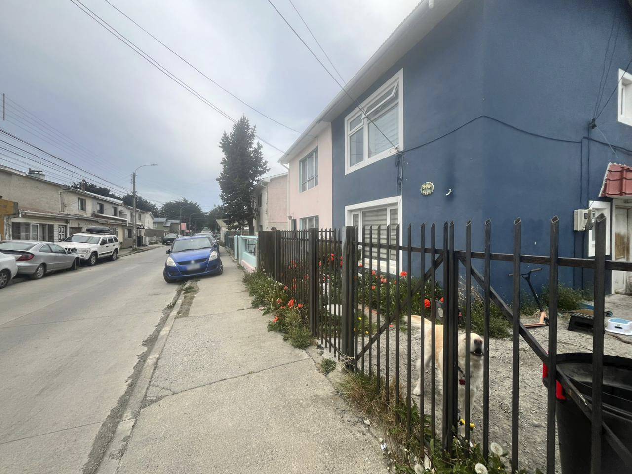 José Robert 240 - Imagen 3