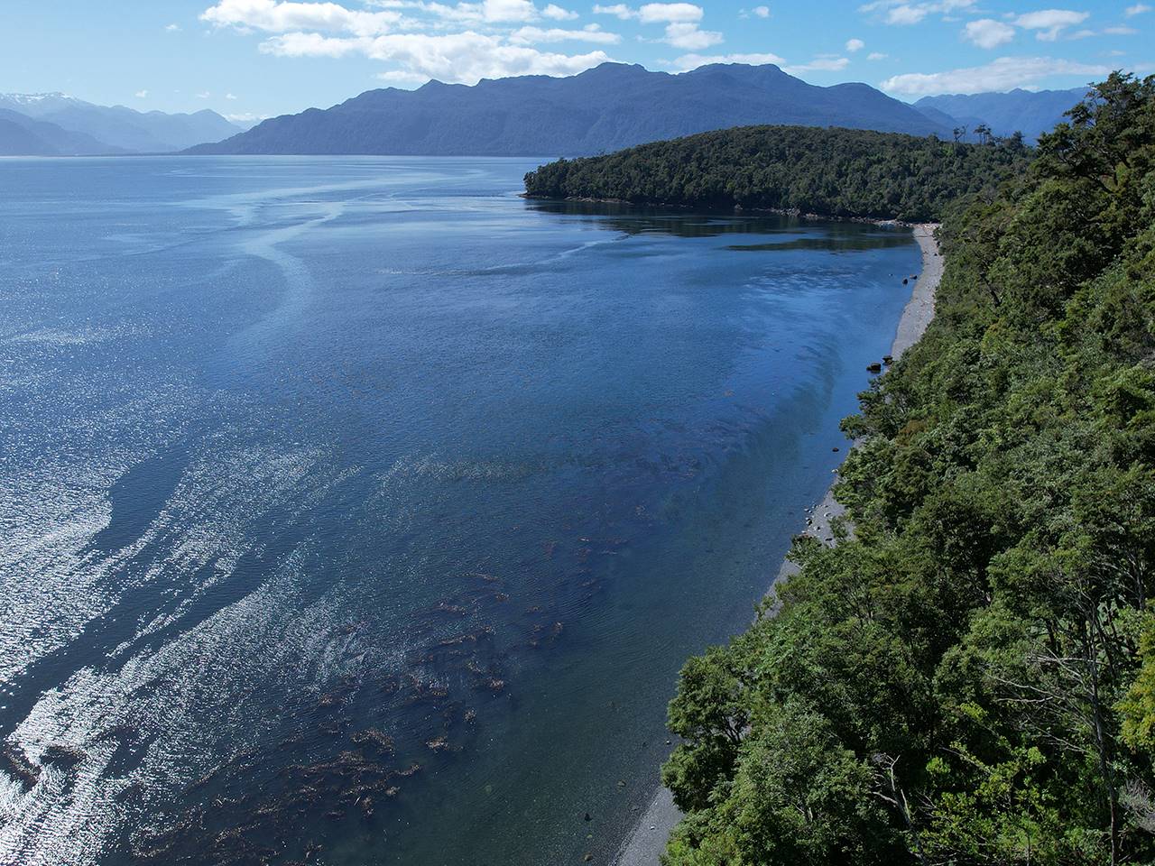 Costa Huemules, Parcela 170 - Imagen 3
