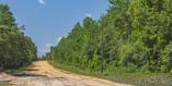 Del Monaco Ave, Interlachen, FL 32148 - Imagen 10