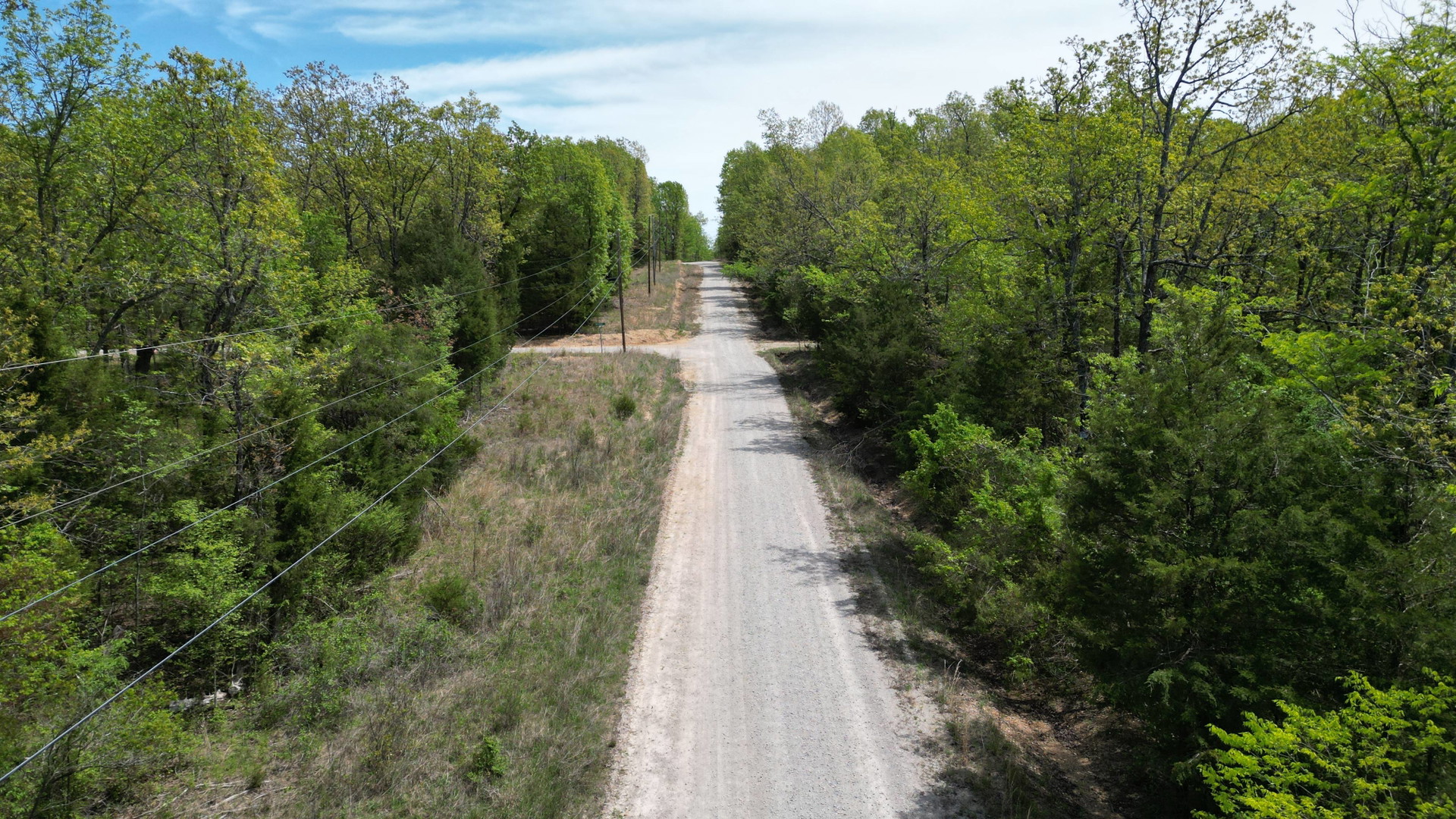 Strawberry Lane, Horseshoe Bend, AR 72512 - Imagen 4