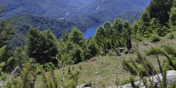 Llancalil, Parcela 15 - Imagen 40