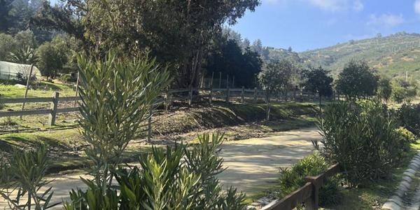 Condominio La Reserva De Puro Caballo, Parcela 124 - Imagen 31
