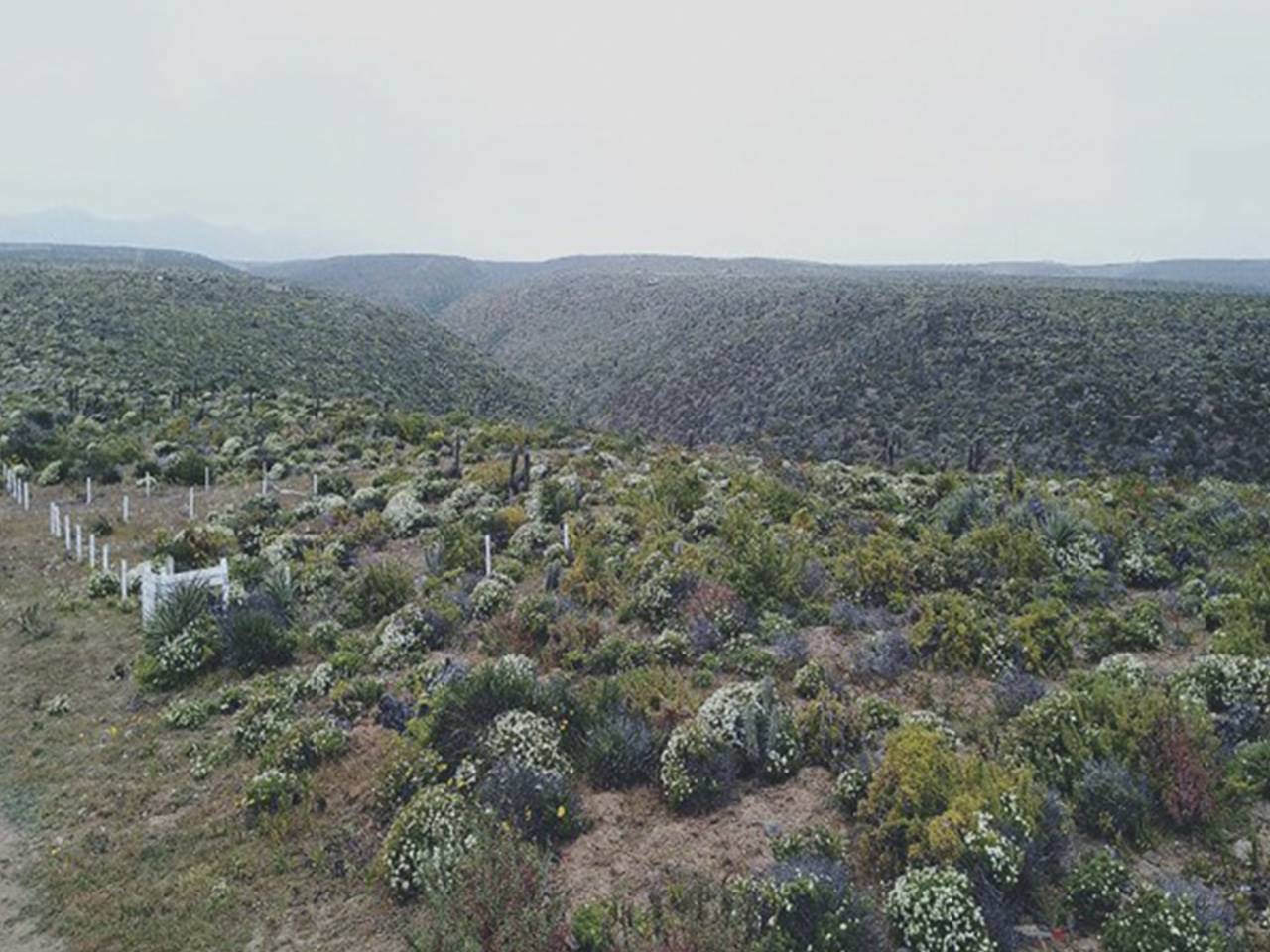 Costa Dorada Tres, Parcela 25 - Imagen 6