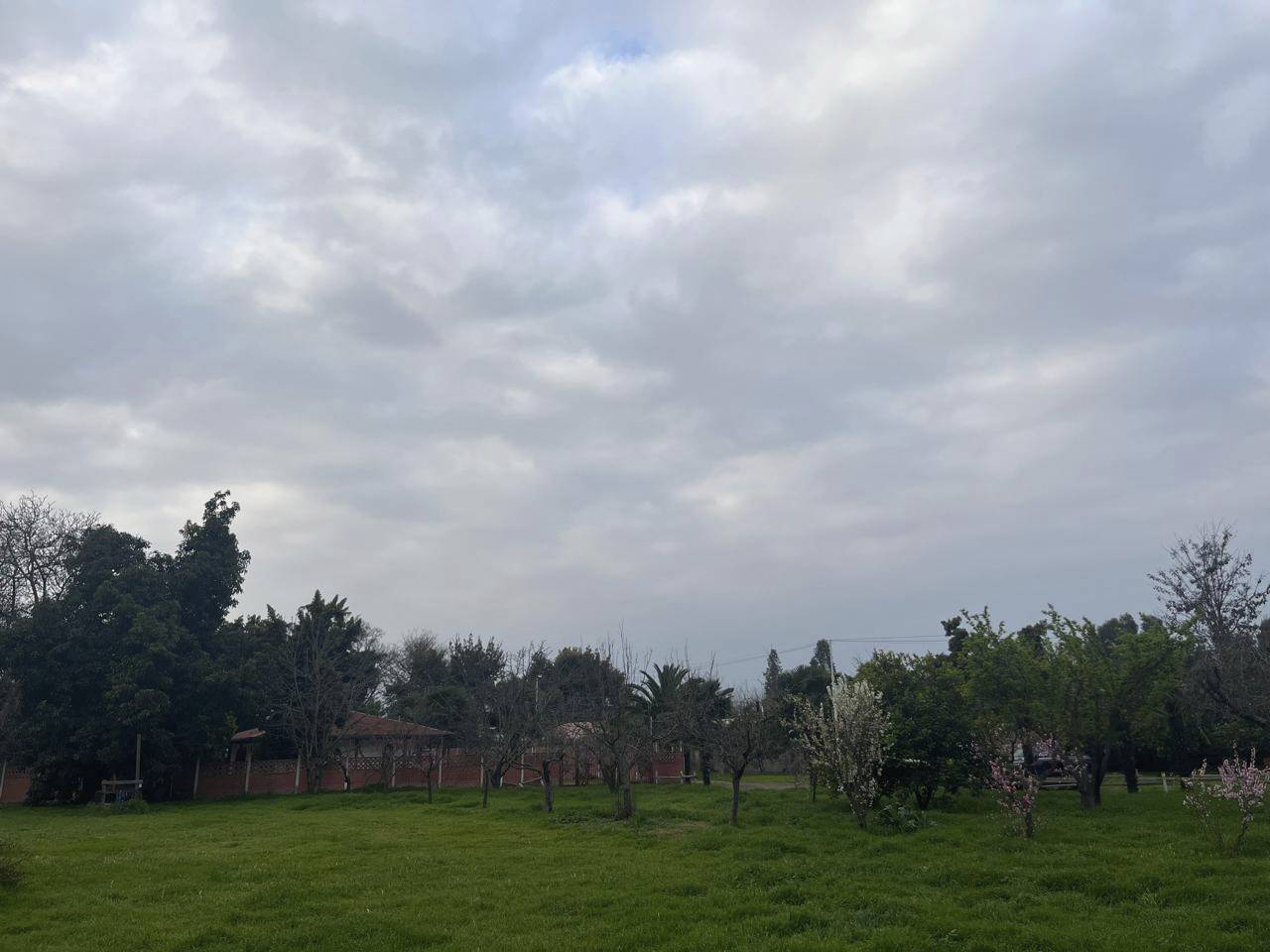 Las Camelias, Parcela 14 - Imagen 6