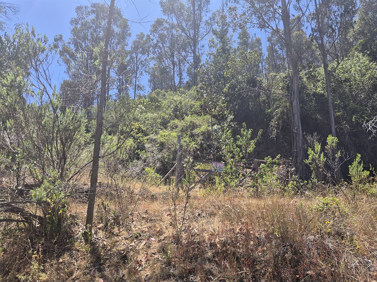 Fundo El Batro, Lote B - Imagen 7