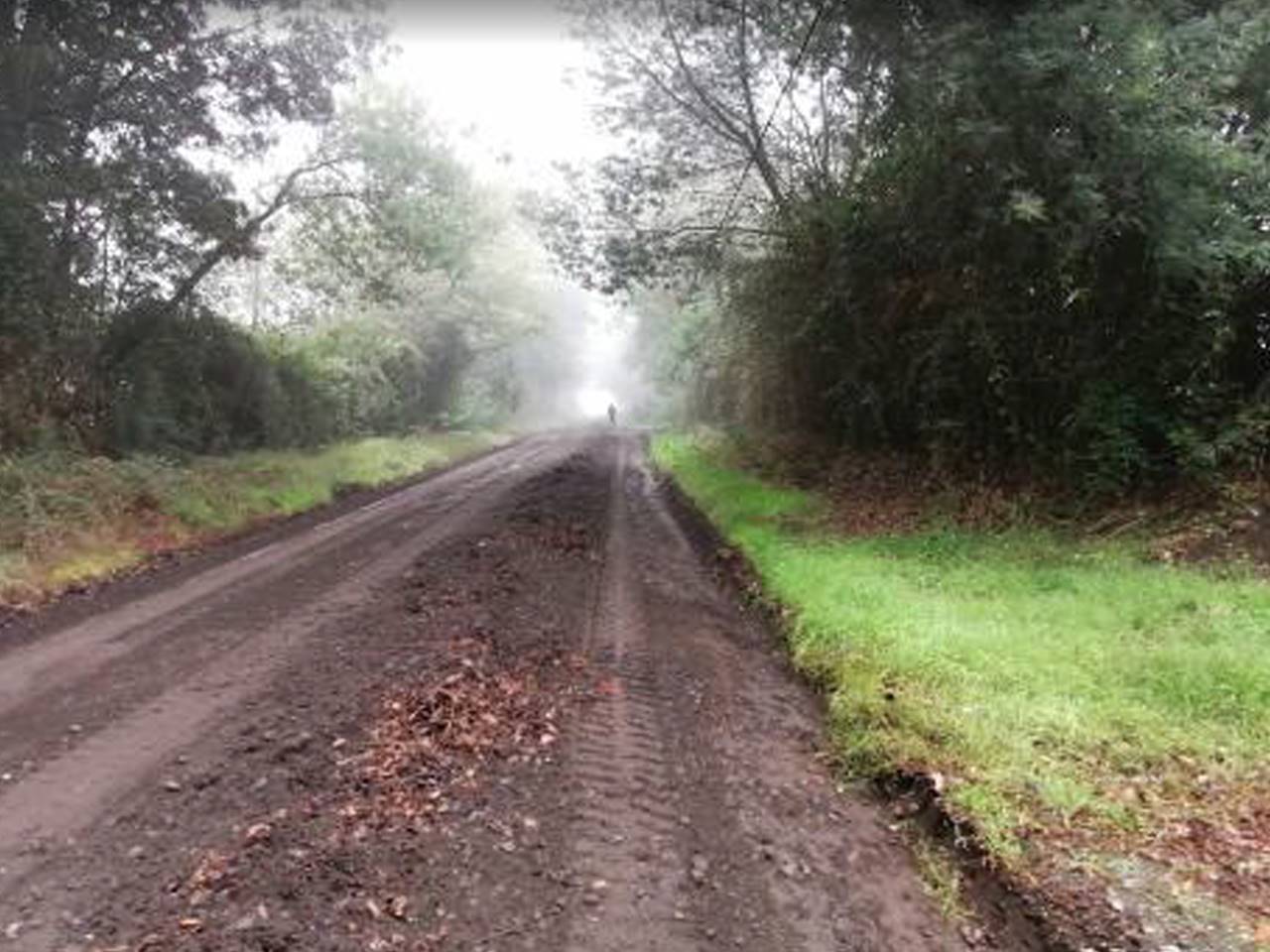 Santa Magdalena, Lote 7 - Imagen 2