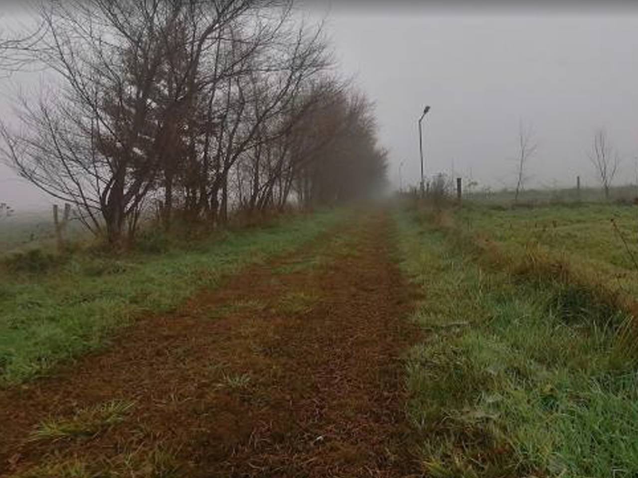 Santa Magdalena, Lote 7 - Imagen 4