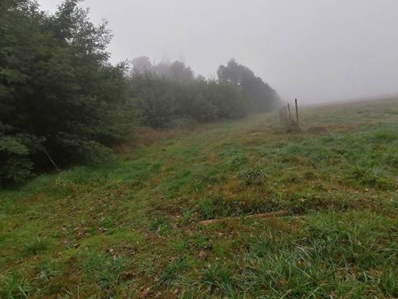 Santa Magdalena, Lote 7 - Imagen 5