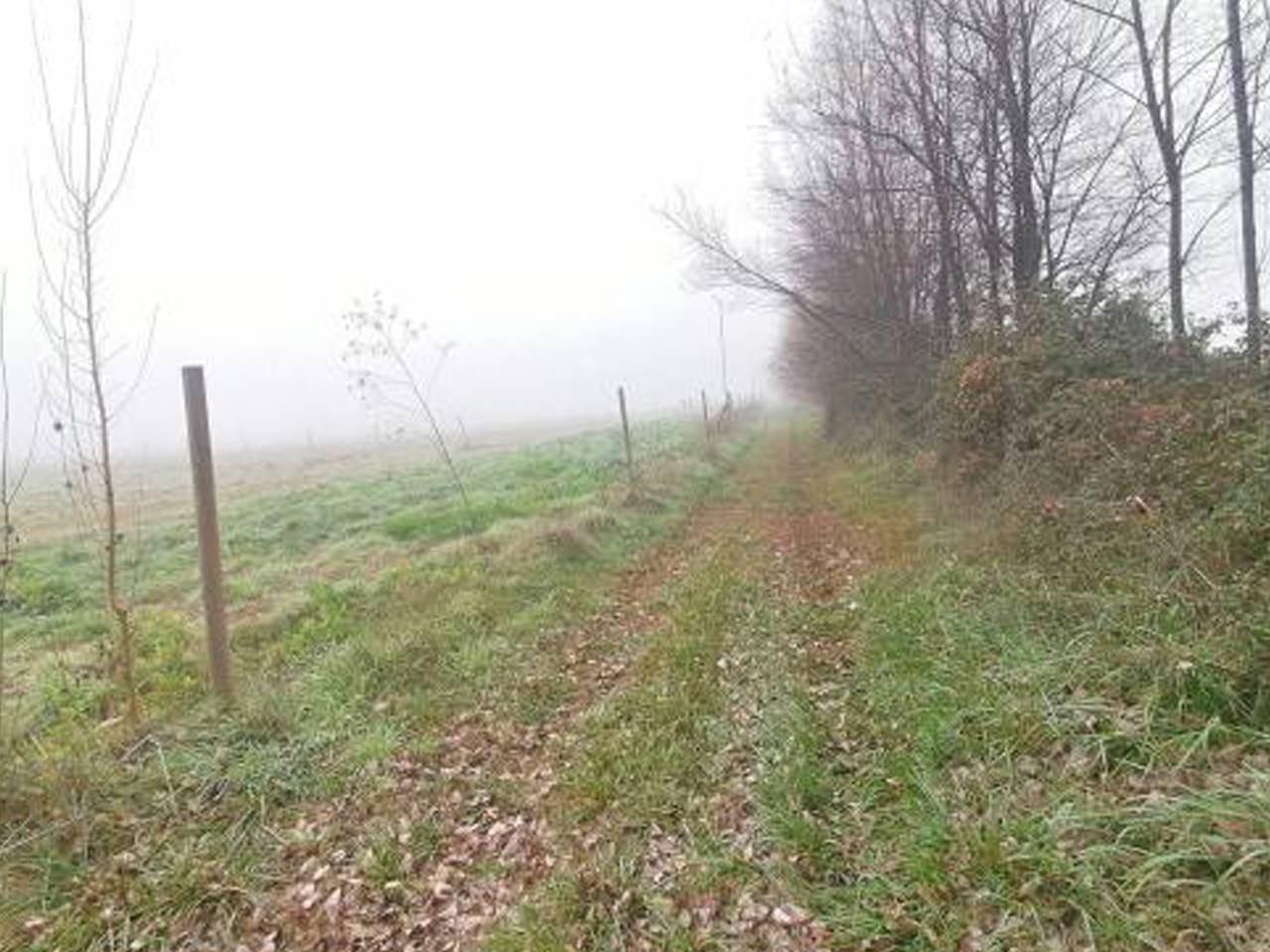 Santa Magdalena, Lote 8 - Imagen 3