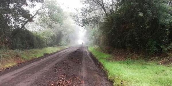 Santa Magdalena, Lote 8 - Imagen 9