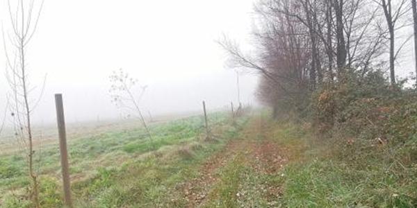 Santa Magdalena, Lote 8 - Imagen 10