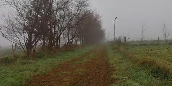 Santa Magdalena, Lote 8 - Imagen 11